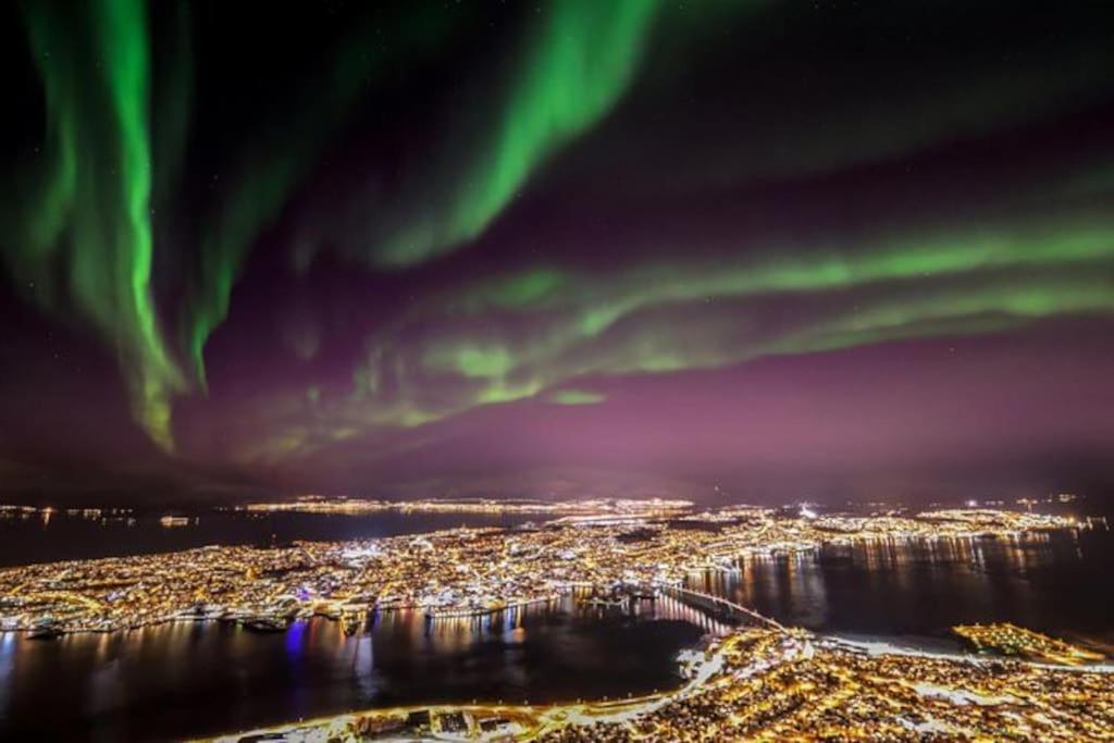 Sentralt Pa Fastlandet Og Gaavstand Til Alle Fasiliteter! Tromsdalen Bagian luar foto