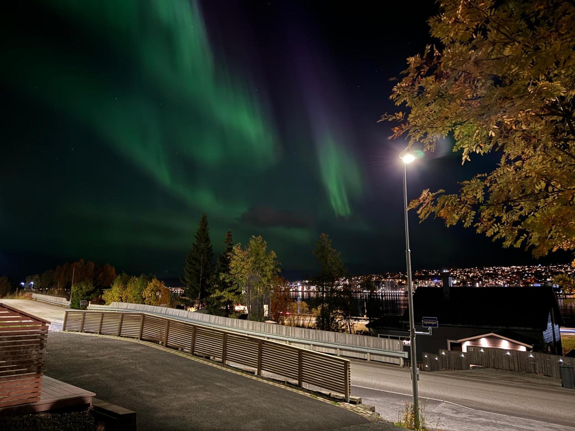 Sentralt Pa Fastlandet Og Gaavstand Til Alle Fasiliteter! Tromsdalen Bagian luar foto
